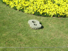 thumbs/SSA42121.JPG.png