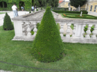 thumbs/SDC17295.JPG.png