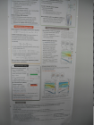 thumbs/SDC17397.JPG.png