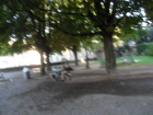 thumbs/SDC17460.JPG.png