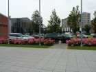 thumbs/P1070129.jpg.png