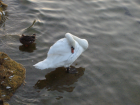 thumbs/IMGP2144.JPG.png