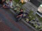 thumbs/IMGP2159.JPG.png