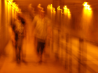 thumbs/IMGP2276.JPG.png