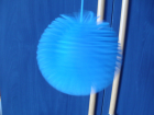 thumbs/IMGP2283.JPG.png