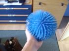 thumbs/IMGP2286.JPG.png